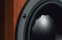 Dynaudio Focus 220 II højttalere