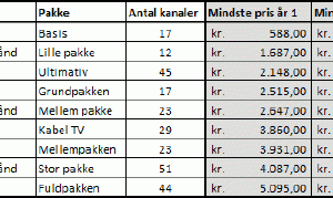 Guide: Hvad koster det at se TV?