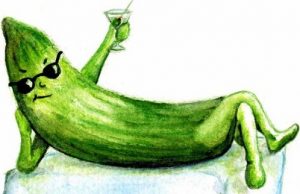 Agurketid: Hvad blev der egentlig af release notes?