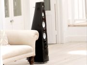 Mordaunt Shorts Performance 6