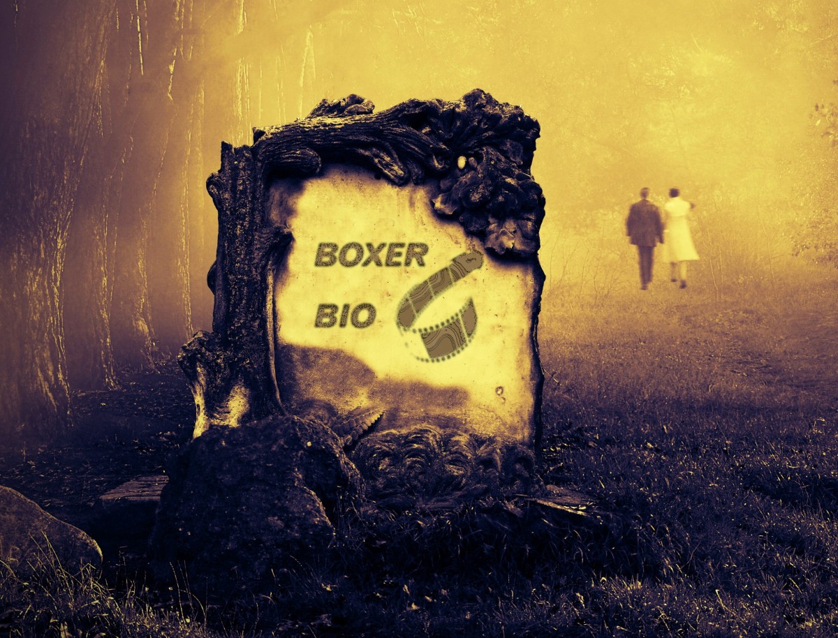 Boxer Bio lægges i graven. Foto: Shutterstock.com / recordere.dk