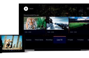 Tv-distributører samler alt indhold i én boks