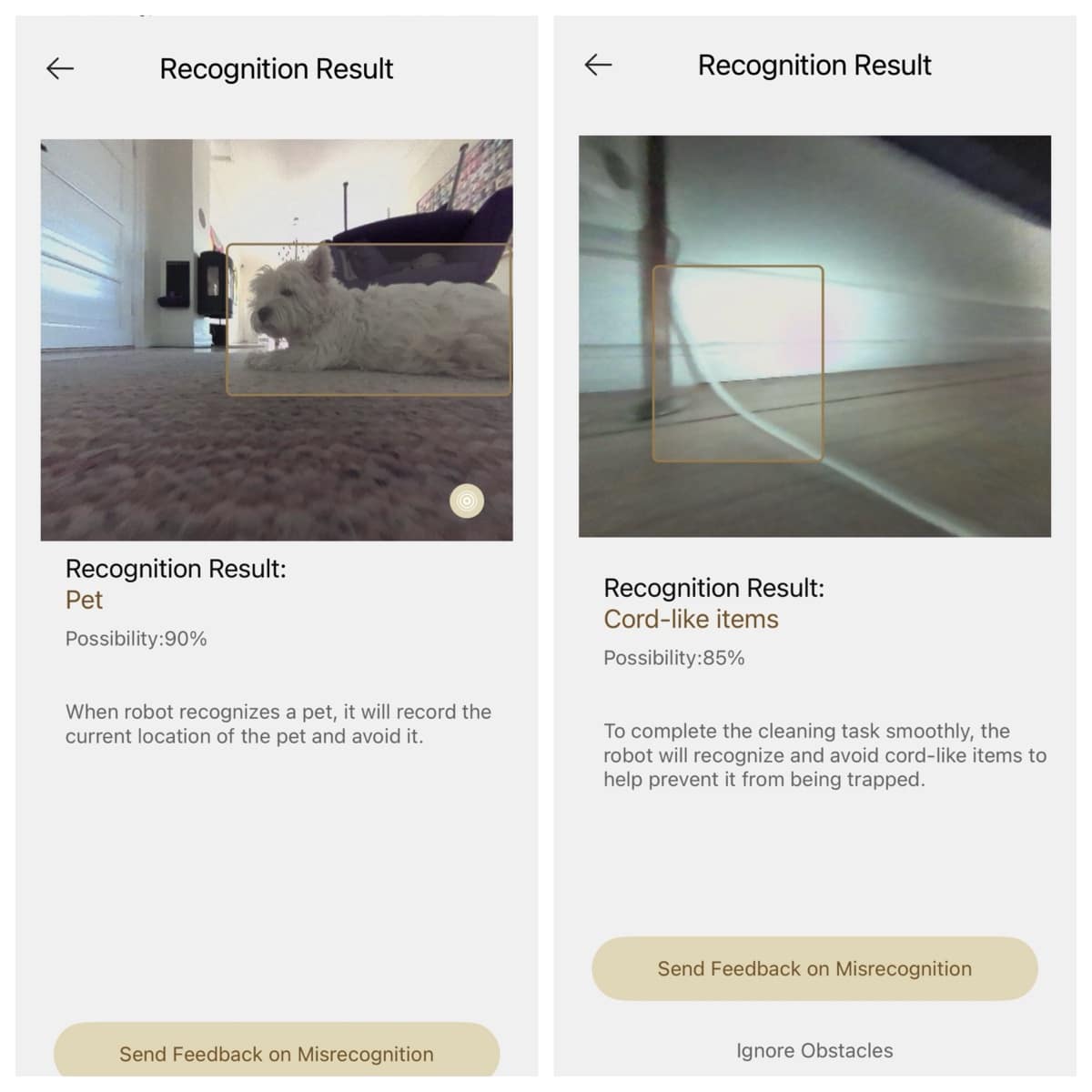 Screenshots fra Dreame App på genkendelse (ill. Recordere.dk)